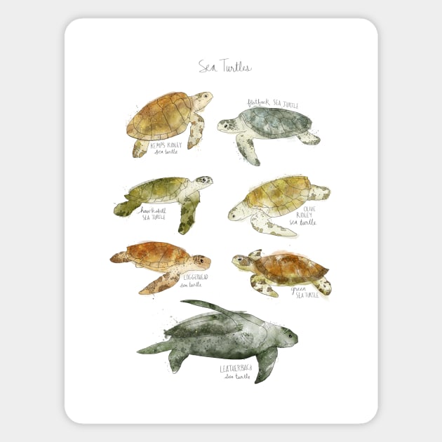 Sea Turtles Magnet by Amy Hamilton